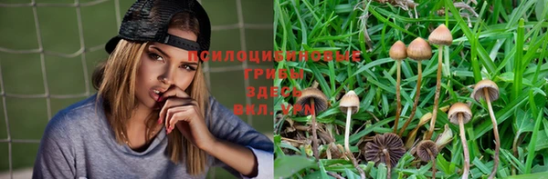 не бодяженный Нея